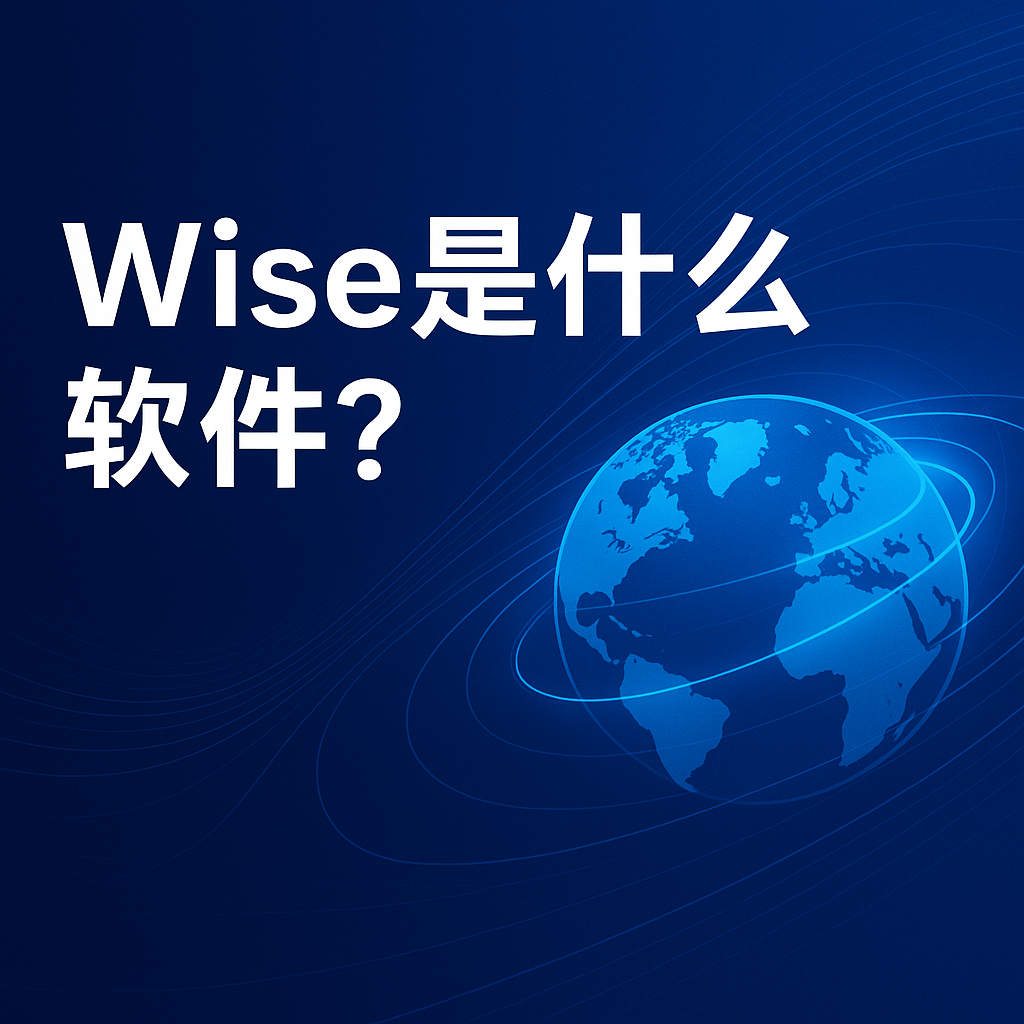 Wise功能全面解析