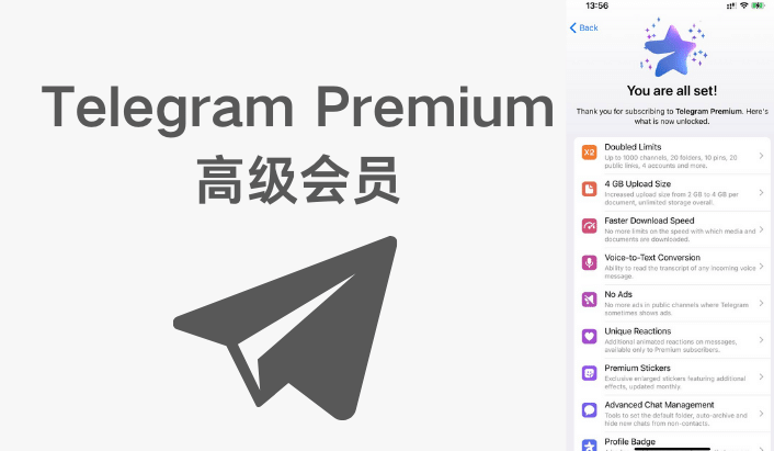 Telegram 会员有什么用？